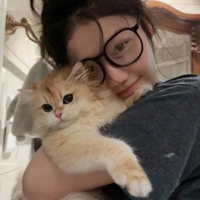 猪猪侠大电影·恐龙日记 在线观看