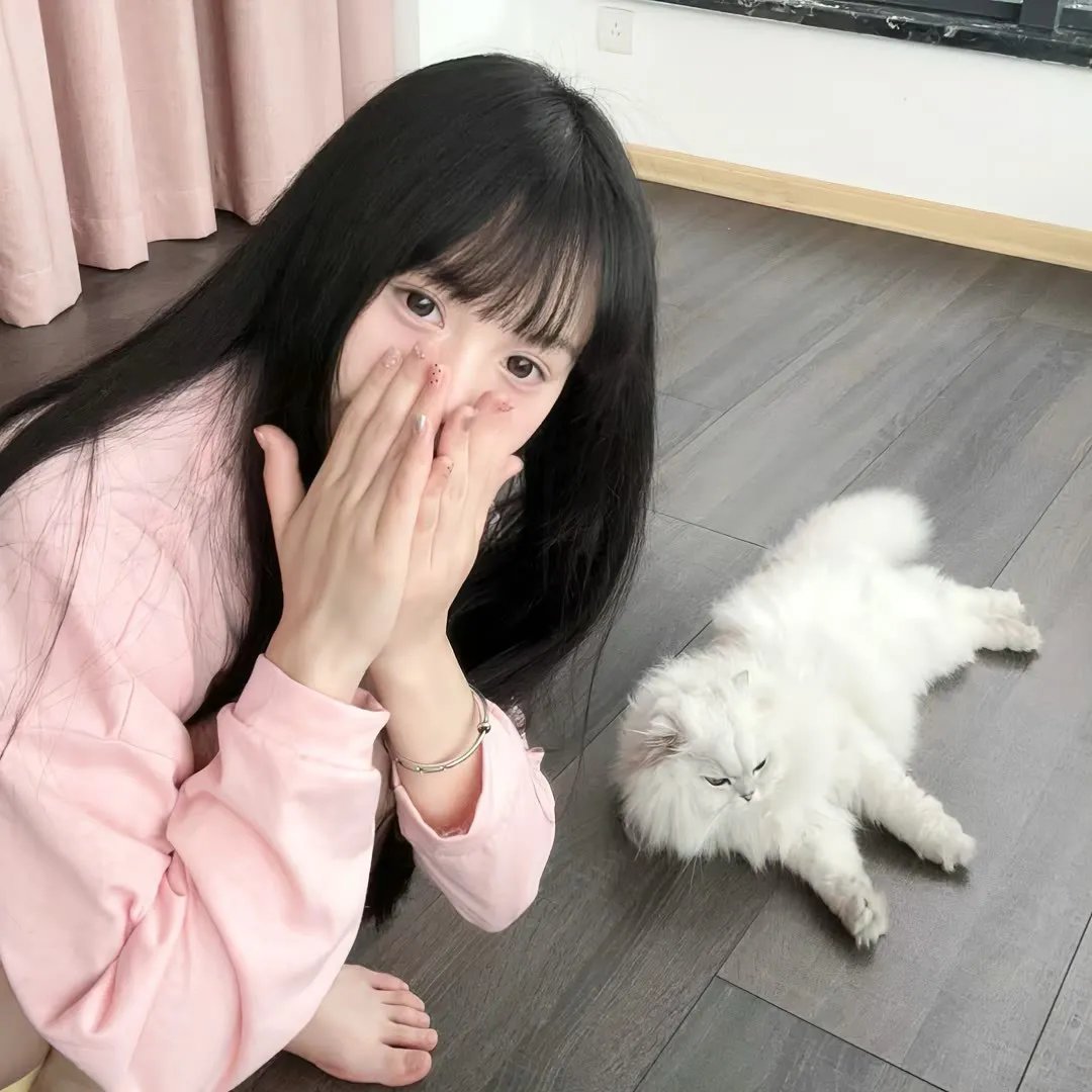 咒 在线观看